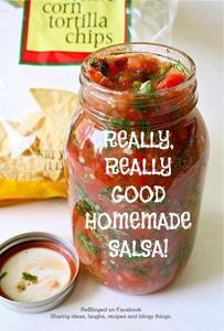 Really, Really Good Homemade Salsa